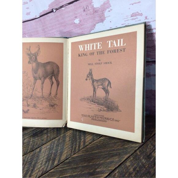 1938 First Edition “White Tail King Of The Forest” By Nell Stolp Smock - Picture 5 of 15